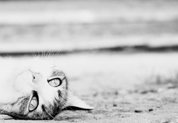 Ольга Костина