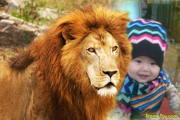 Пульдиняк Абрикосов