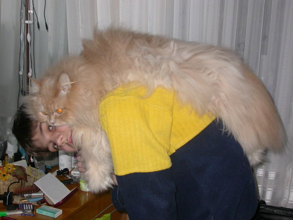 Андрей Заворотнюк