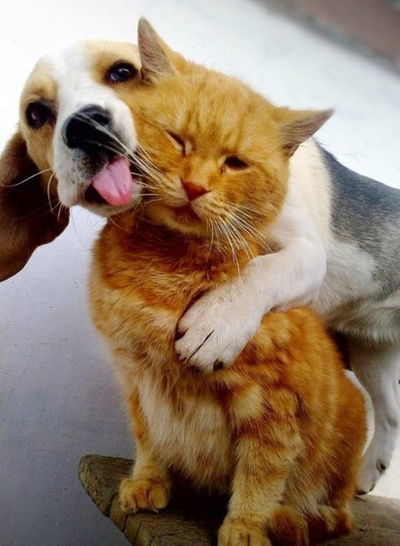 Вероника Тюрина