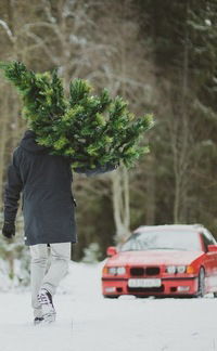 Дмитрий Франкенштейн