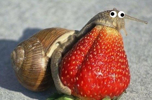 Анастасия Полякова