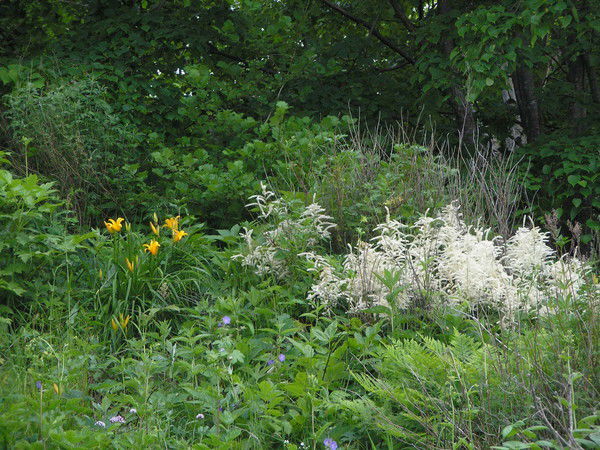 Люба Соболева