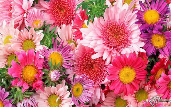 Ольга Селиванова