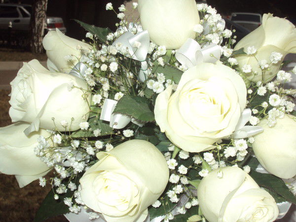 Светлана Захарова