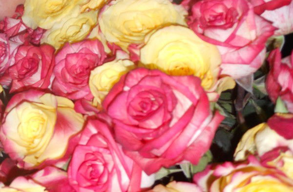 Юлия Фролова