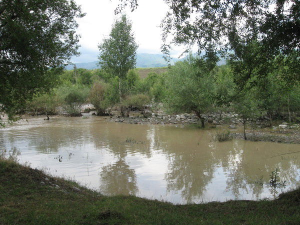 Вера Дорогина