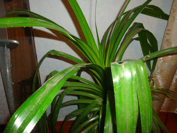 Валентина Рудакова