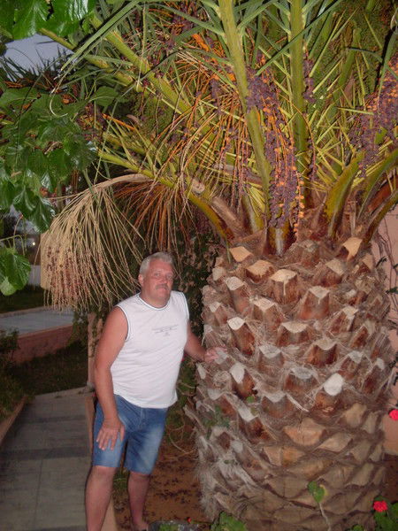 Виктор Давиденко