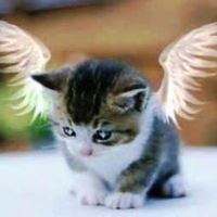 Валерия Тихомирова