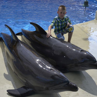 Данил Казоков