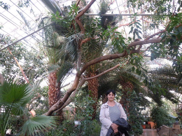 Светлана Курисько