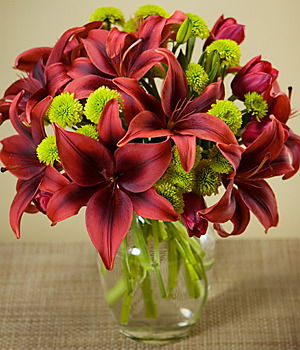 Любовь Ермолаевна (Арчакова)