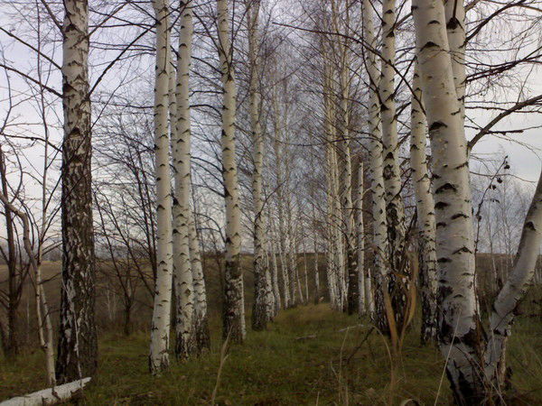 Марина Лукьянчук