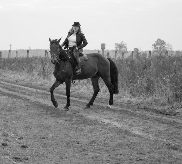 Елена Елена