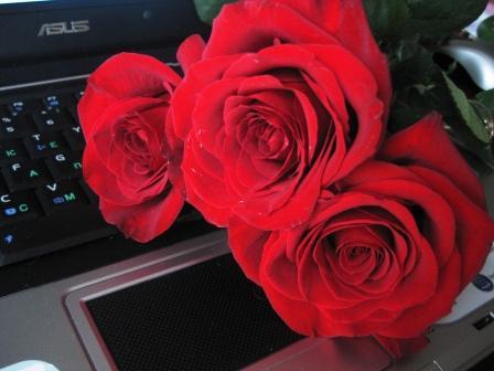 Игорь Черкашин