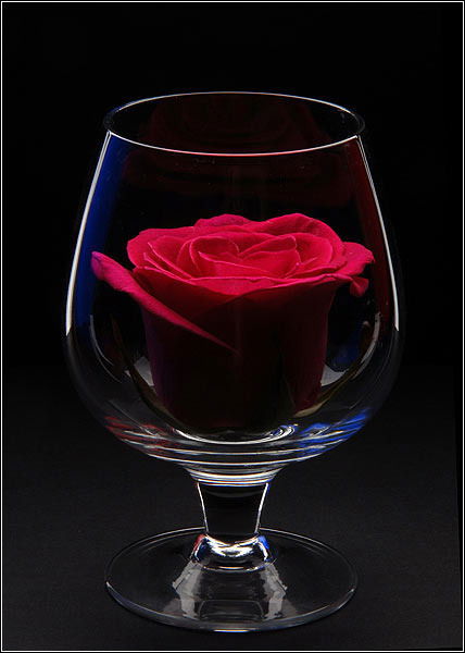 Алена Соколова