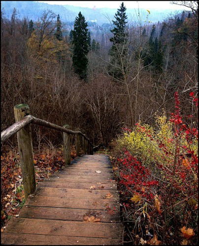 Тамара Золотухина