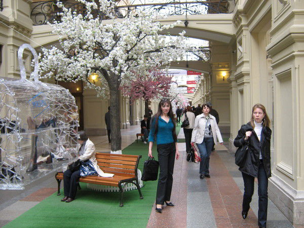 Ольга Пальшина