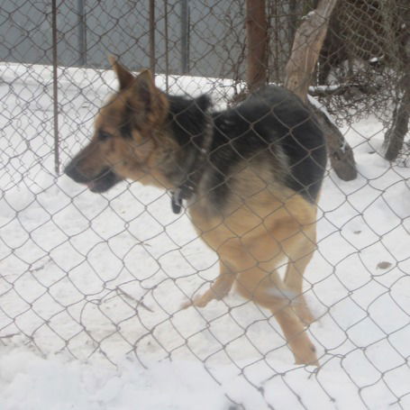 Ваня Лукьяненко