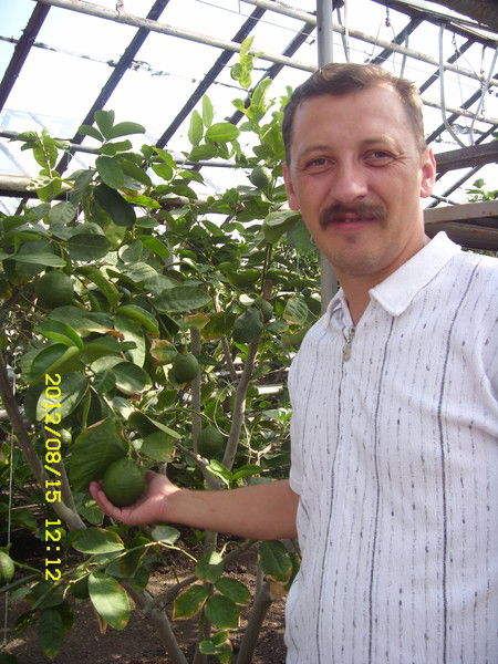 Виктор Межевикин