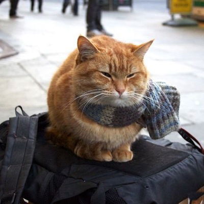 Алексей Запольский