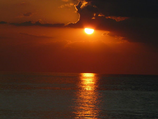 Aлёна Дзюба