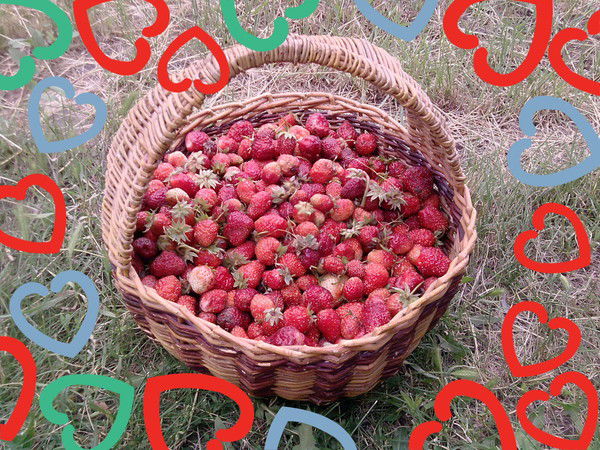 Николай Горелов