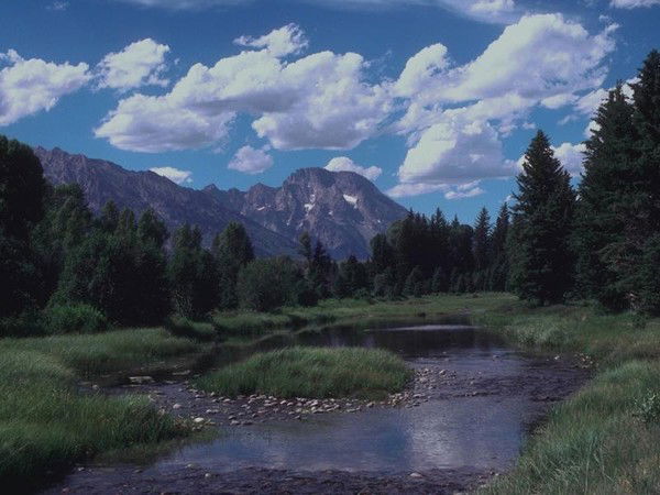 Людмила Яковлева