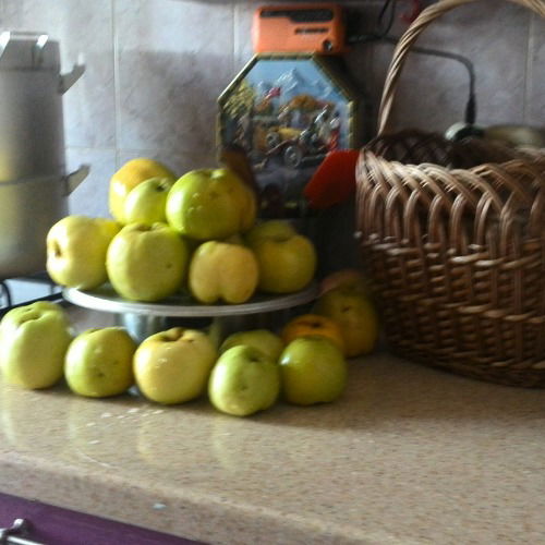 Галина Соколинская