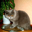 Виктория Смурнва
