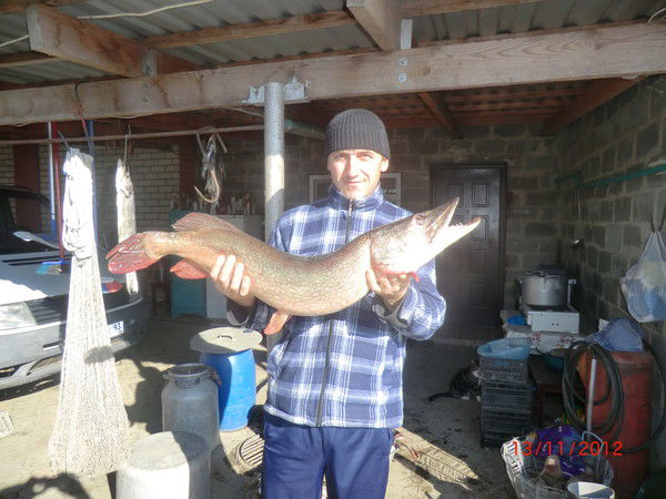 Виталий Супряга