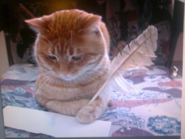 Ирина Саблина