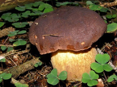 Алексей Малышев