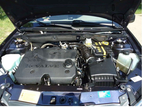 Вилдан Максутов