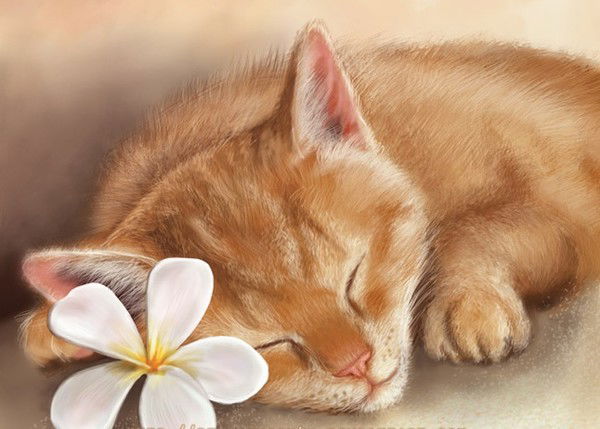 Елена Мазина