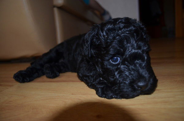 Наталья Калашникова