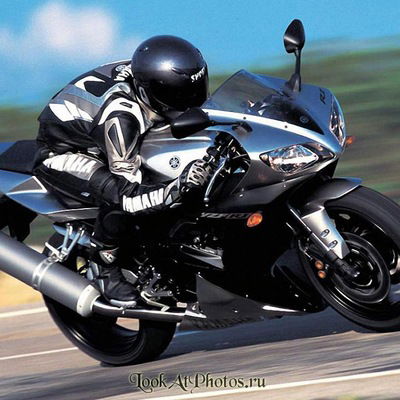 Тимур Богданов