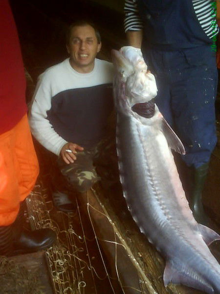 Виталий Коваль