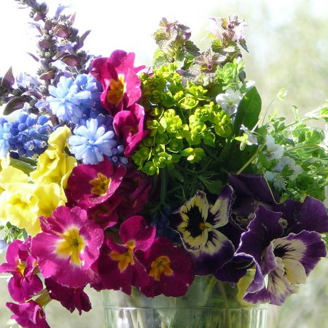 Валентина Калюжная