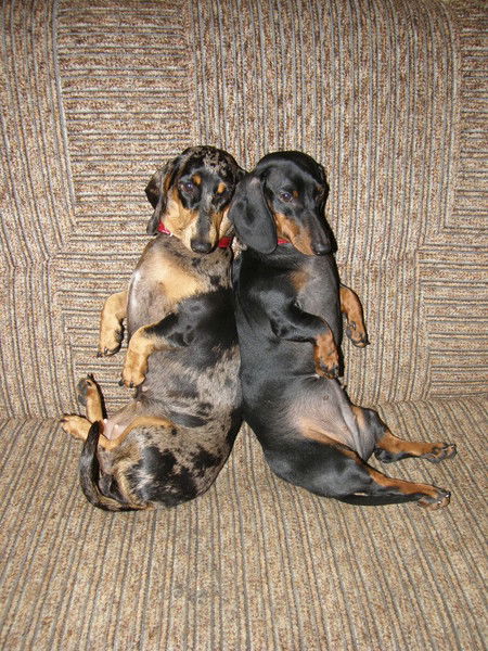 Светлана Бик-Мухамедова