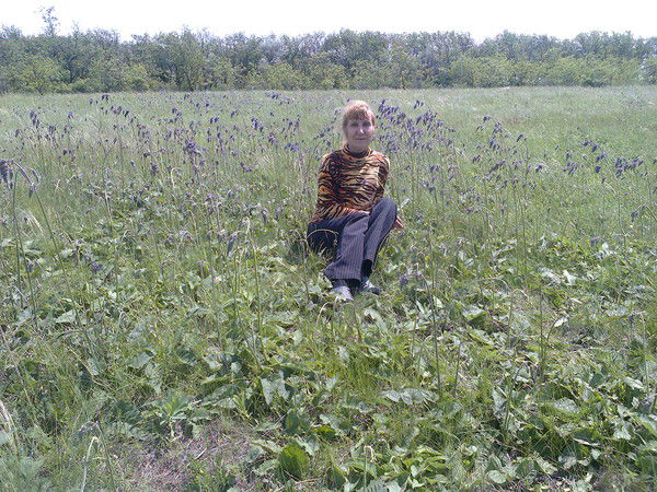 Любовь Калашник