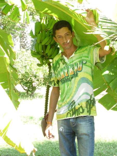 Александр Церульник