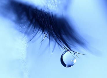 Елена Дворянчикова ( Лашко )