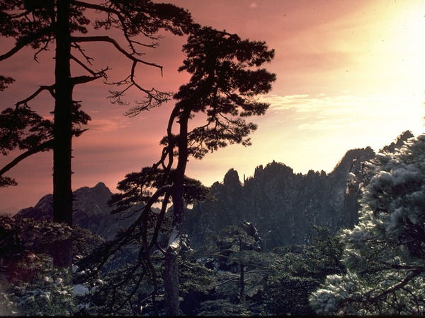 Зульфия Камалиева