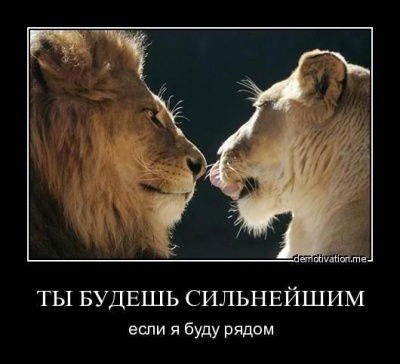 Т.а.к.. Жить Легче