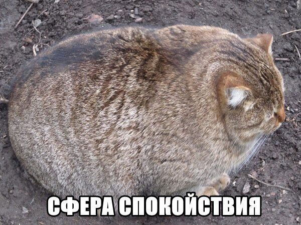 Тимофей Никифоров