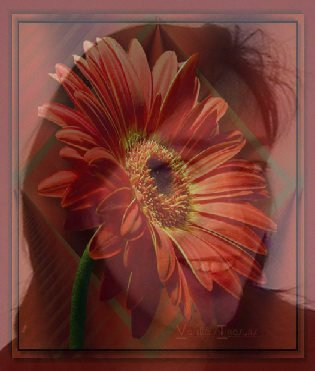 Ермагамбетова Эльмира