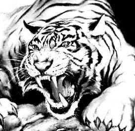 Александр Грыцай