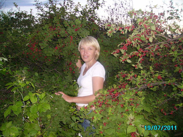 Ольга Нерсесян